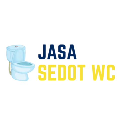 Sedot WC Mampet  senayan city